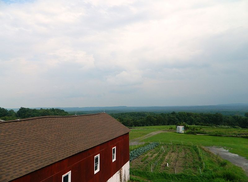 view from back door