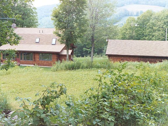 Back view with mountains