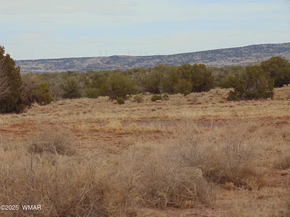 N #N5576, Concho, AZ 85924