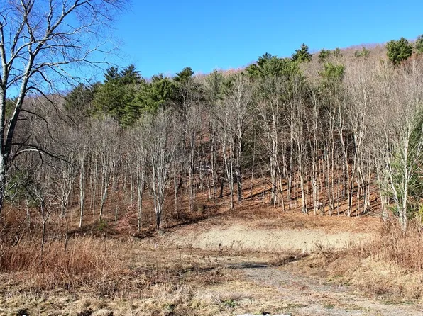 8555 State Highway 7, Schenevus, NY 12155