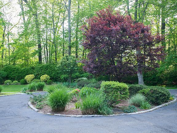 3rd image of 81 Windrow Ln