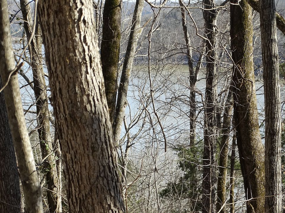 2nd image of 0 Austin Bottom Rd
