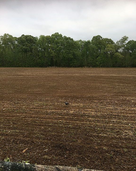 2nd image of 1353 Dorse Rd