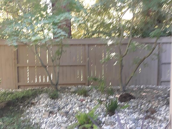 4th image of 11541 Sutters Mill Cir