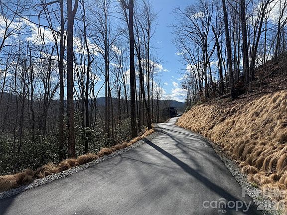 5th image of TRACT 4 Turtle Ridge Trl