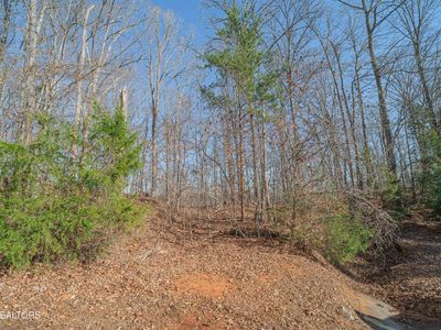 Sheerwater Rd, Kingston, TN, 37763