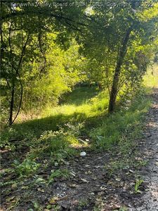 229 Rebel Ridge Rd, Glenwood, WV, 25520