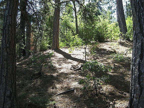 5th image of Sugar Cone Ln