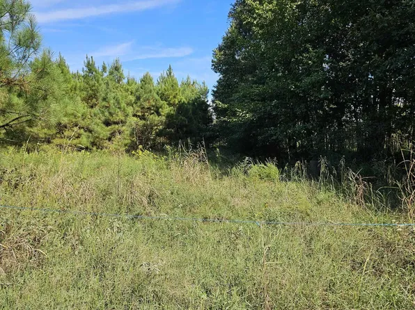 Porter Rd, Des Arc, AR 72040