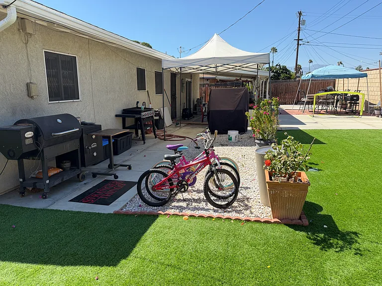 Back patio