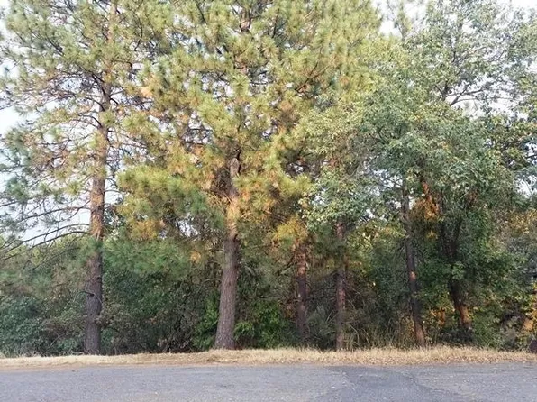 21473 Greenoaks Ct, Sonora, CA 95370