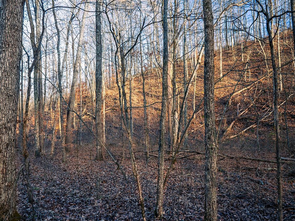 1st image of 0 Bear Hollow Dr