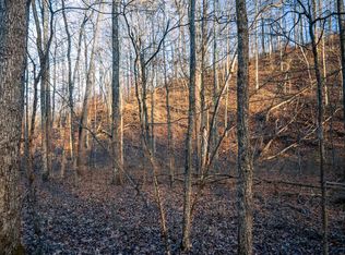 0 Bear Hollow Dr, Waverly, TN 37185