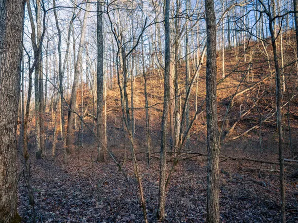 0 Bear Hollow Dr, Waverly, TN 37185