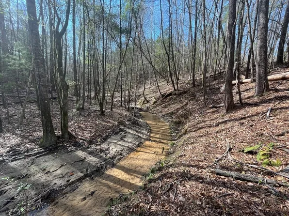 Sheffield Rd, Oak Hill, AL 36766