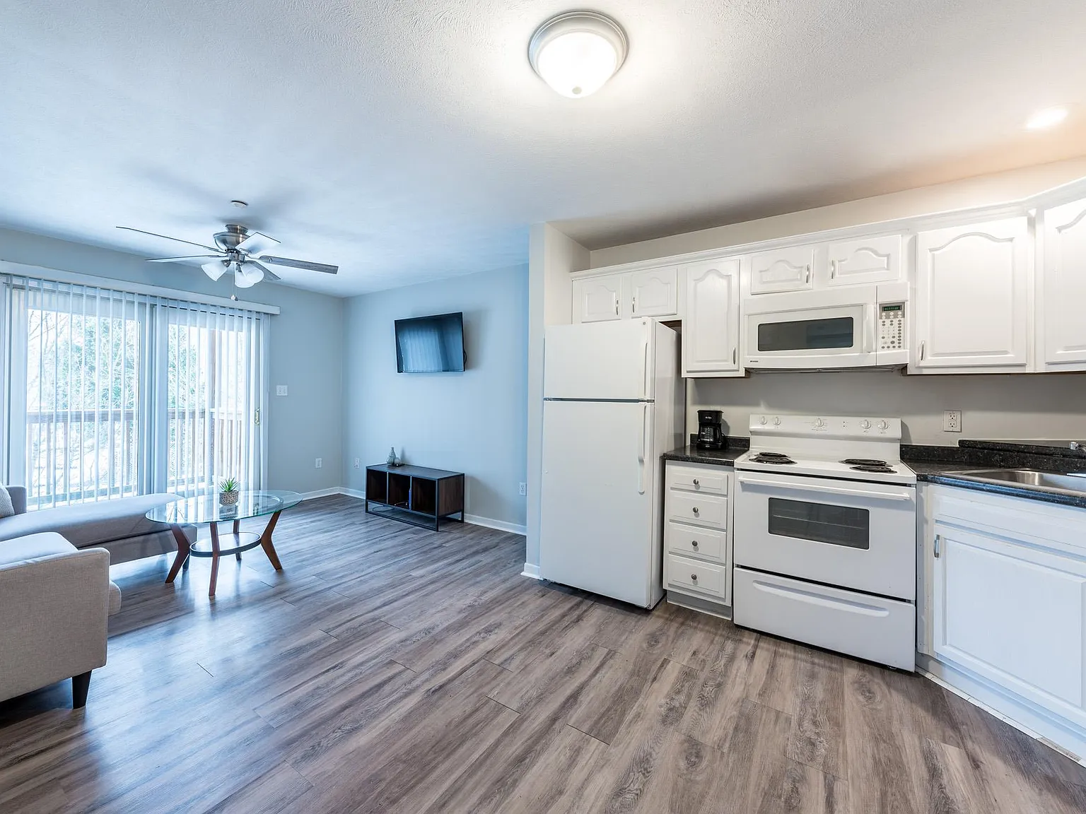 1 bed, 528 sqft, $1,045 — Photo 4