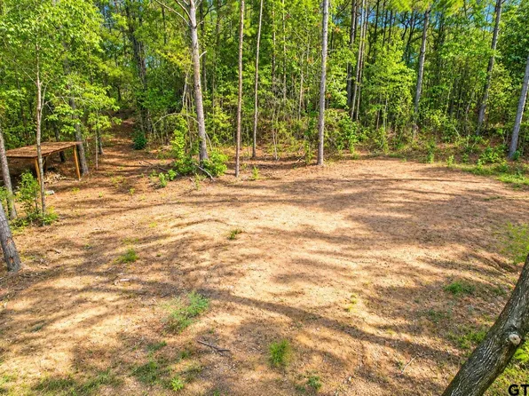 1963 County Road 4704, Troup, TX 75789
