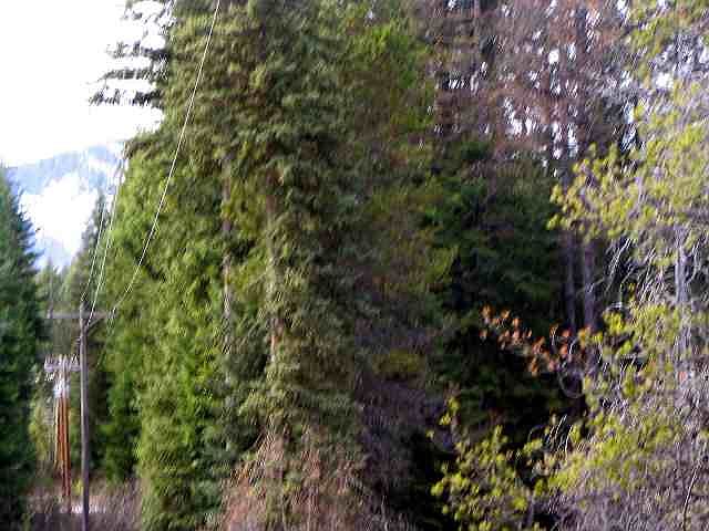 2nd image of 9262 Fertile Valley Rd