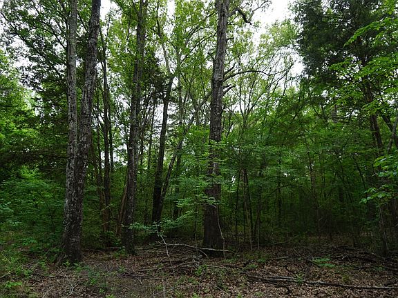 3rd image of Tbd2 County Rd #1200