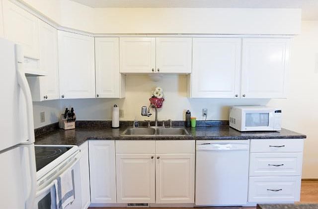 Kitchen upgrades in 2010