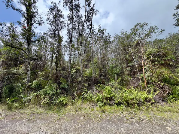 Road 7 Opeapea Lot 4547, Kurtistown, HI 96760