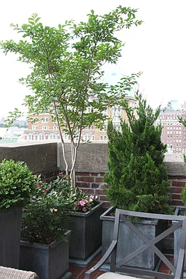 Rented by Maria Buncick Fine Properties, LLC | media 29