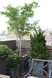 Rented by Maria Buncick Fine Properties, LLC