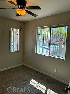 21 Dewberry — Photo 30
