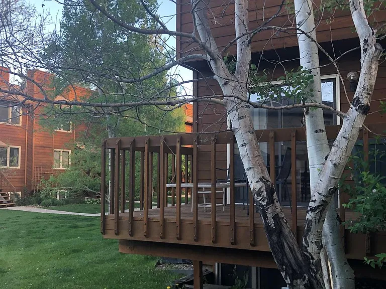 Back Side Deck