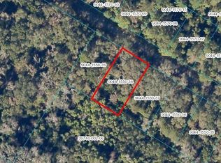 Sequoia Loop Dr LOT 38, Ocklawaha, FL 32179