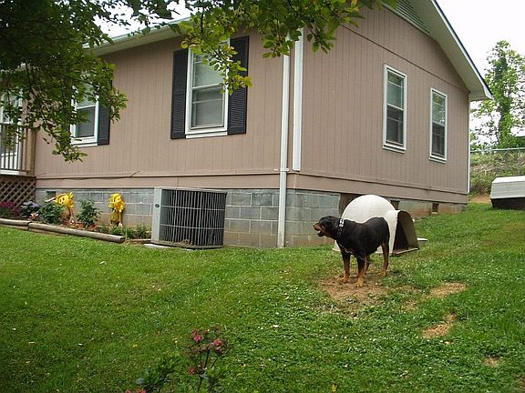 Side of house away from street