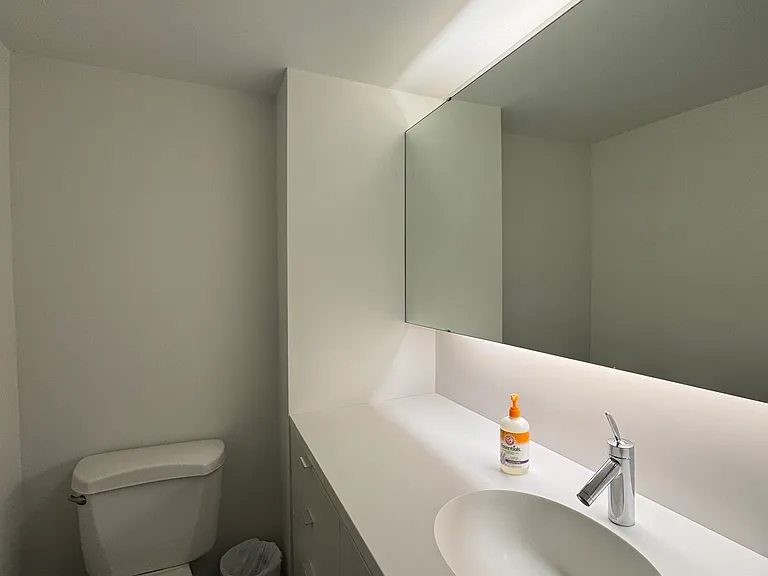 The downstairs powder room is a gorgeous minimalist space with plenty of under-counter and closet storage.