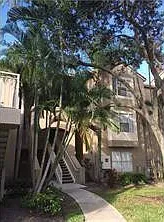 1885 Palm Cove Blvd #10102