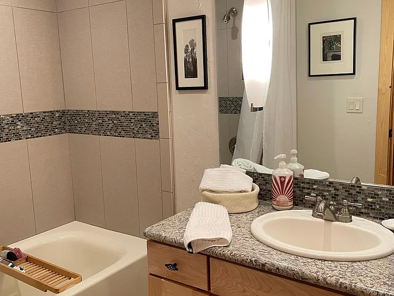 Guest bathroom with tub and shower