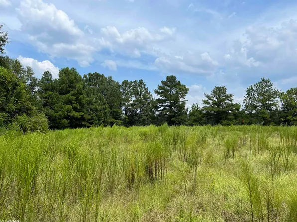 22200 Gap Weekley Rd #5, Perdido, AL 36562