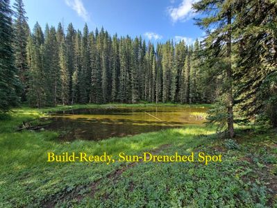 Site 27 Backwoods Ln LOT 27, Ophir, CO, 81426