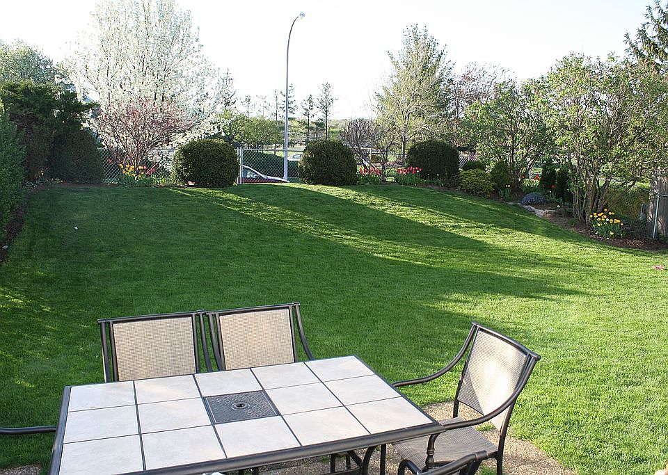 Back yard