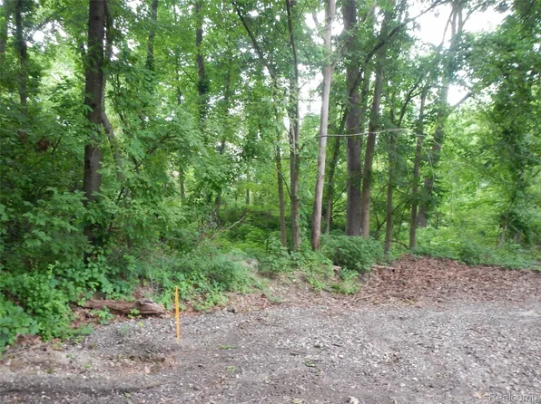 0 Johnson Dr #|-lot 2, Lake Orion, MI 48362