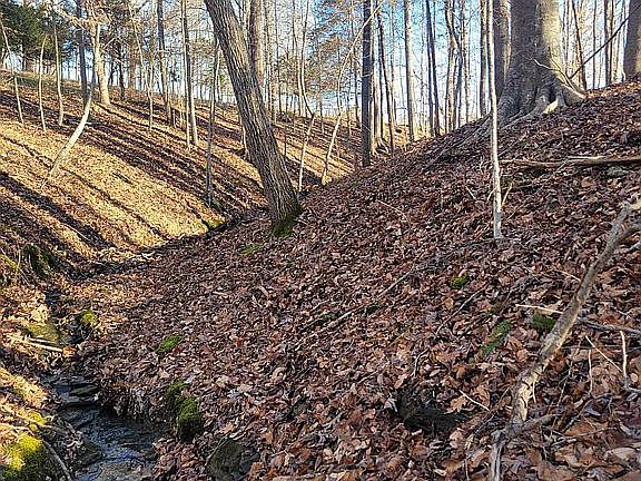 Stream on back line.