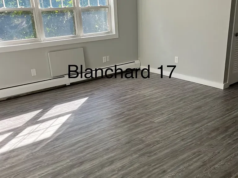 14 Blanchard Pl #17 — Photo 3