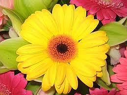 Beautifully Landscape