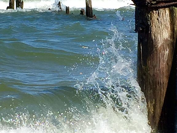 City pass to LionsPark beach