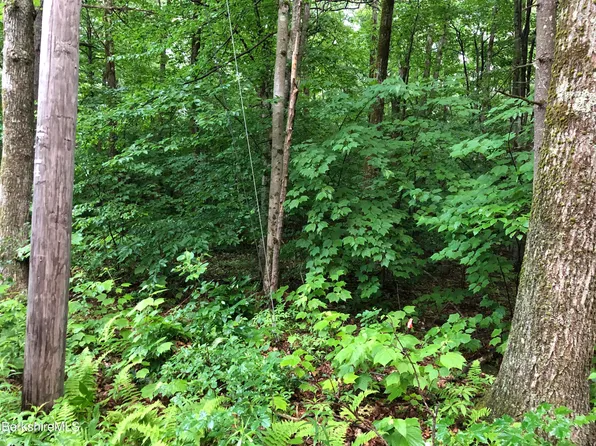0 Norwalk Acres Rd, Monterey, MA 01245