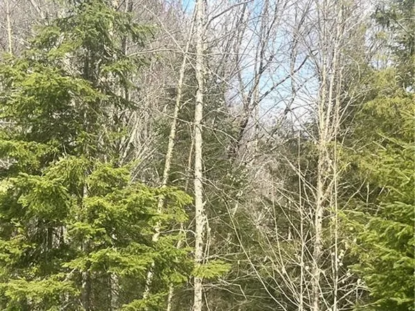 3692W County Rd W, Winter, WI 54896