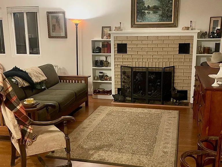 new gas fireplace with built in shelving