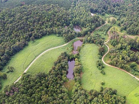 5th image of 0 Treat Mountain Rd