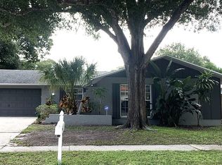 3458 Glossy Ibis Ct, Palm Harbor, FL 34683