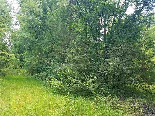 2nd image of 12224 County Road 180