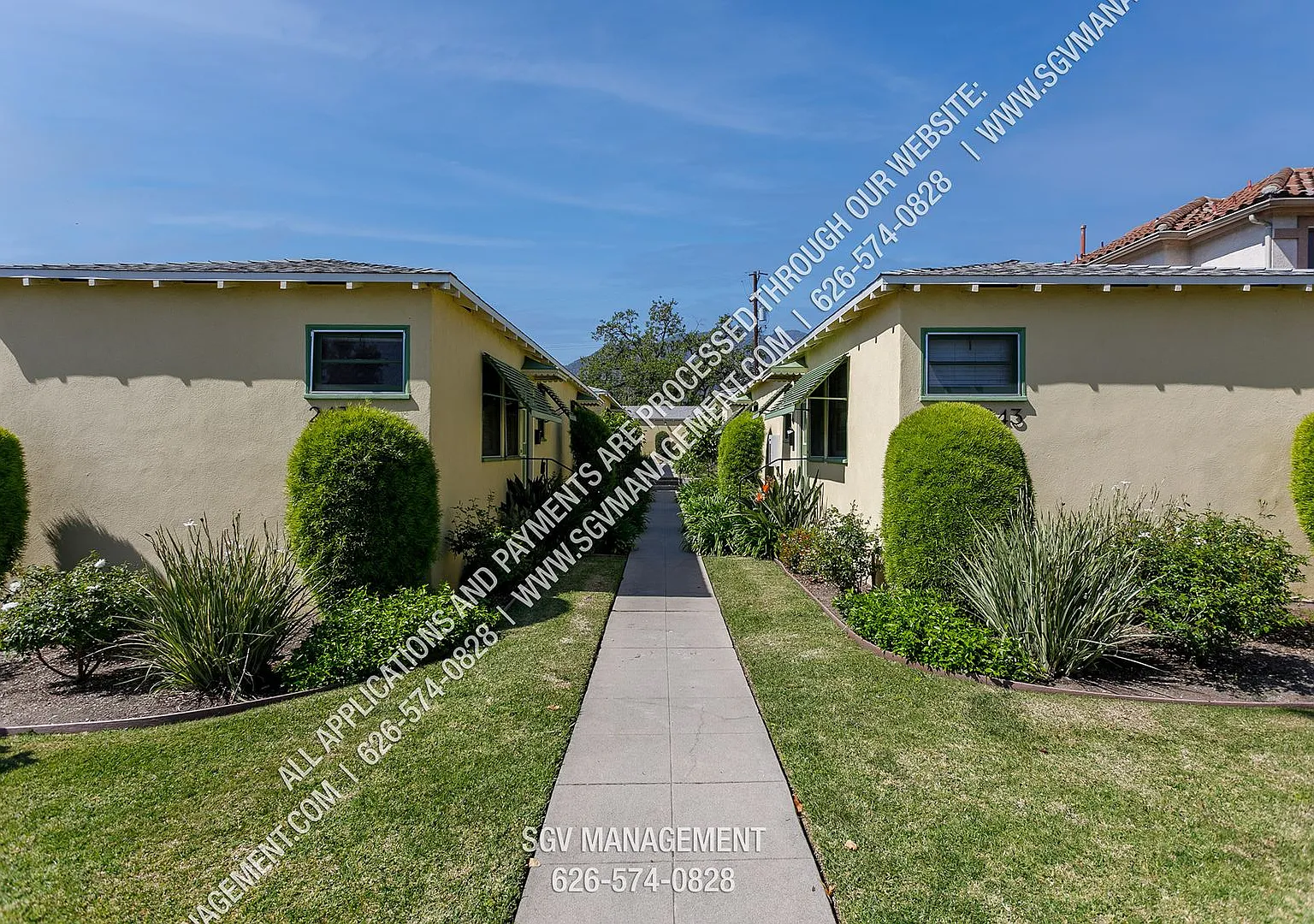 col243 — Photo 3