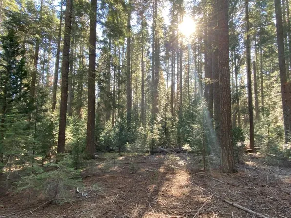 2-A-7 Summit Cir, McCloud, CA 96057